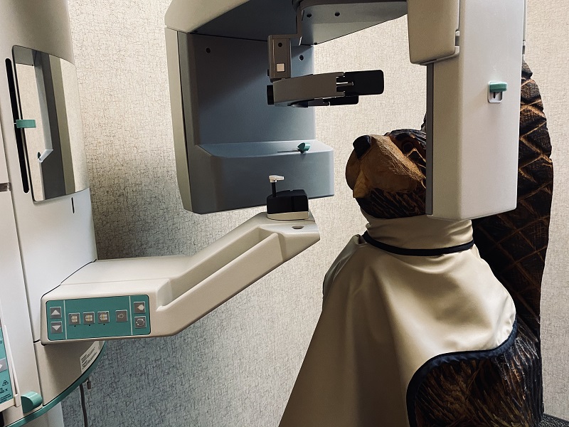 xray machine