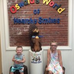 oswald the beaver with patient and dentist 6