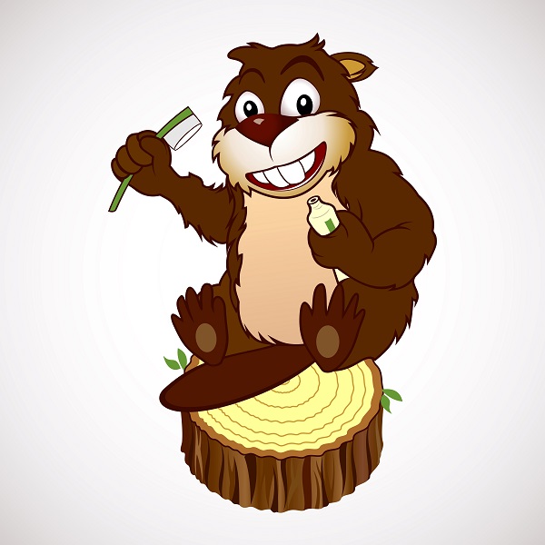 Dental Product Keene NH, Children's Dental Care